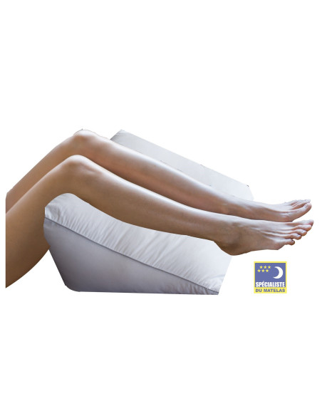 Coussin de Lecture Triangle