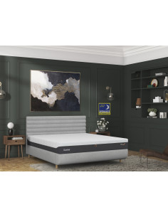 Lit TEMPUR ARC - Tete Vectra - sommier fixe 2