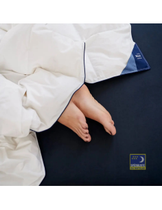 Couette été Auping Nest 2