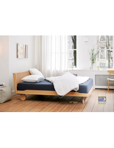 Couette 4 saisons Auping Dew 2