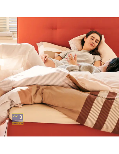 Surmatelas Auping Prestige Visco