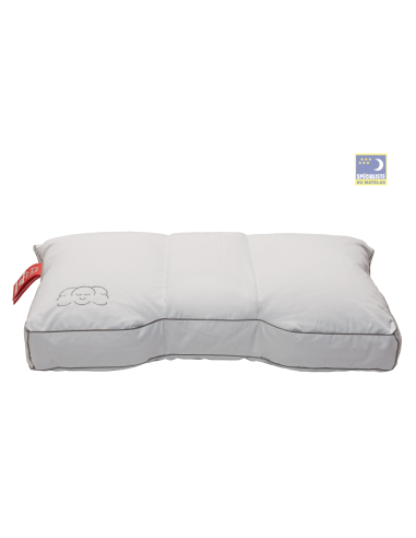 Kopie van Oreiller Royal 100% duvet Silvana 6 épaisseurs