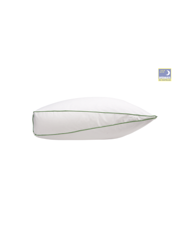 Oreiller duvet Sonora 60x60cm