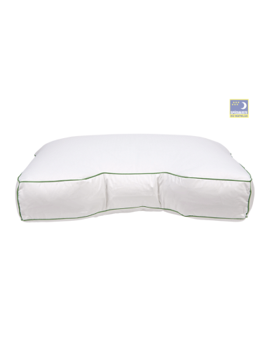 Oreiller duvet Sonora 60x60cm