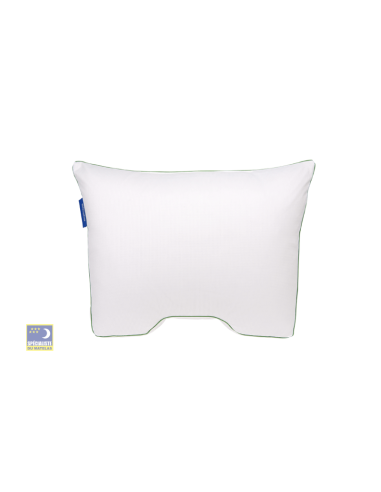 Oreiller duvet Sonora 60x60cm